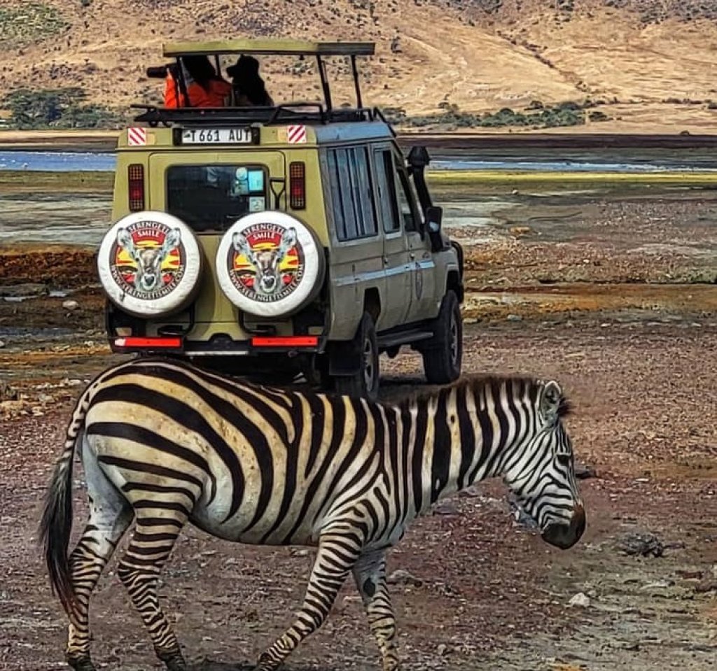 Wildlife Safaris in The National Parks.